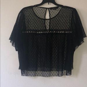 Festival black with gold top.